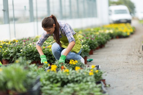 Professional garden clearance being conducted in Abbey Wood