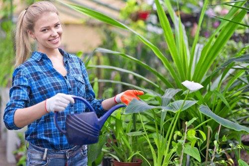 Gardener in Abbey Wood starting a garden tidy in a terraced house front yard