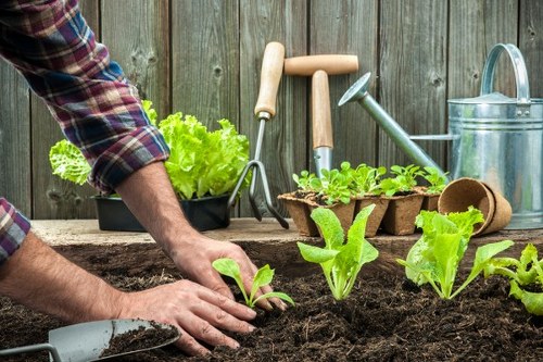 Team member preparing equipment for garden maintenance