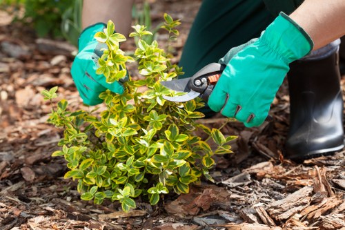 Eco-friendly lawn mowing practices