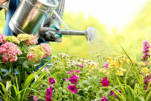Eco-friendly tree management practices