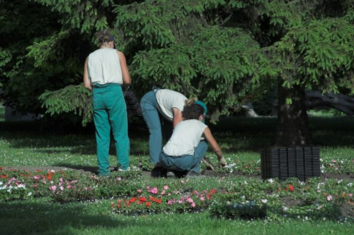 Design principles for an Abbey Wood garden