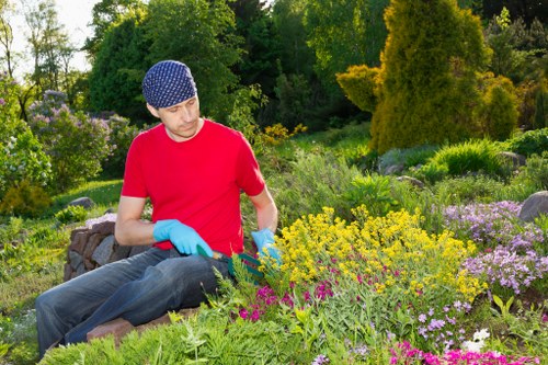 Winter garden protection measures in Abbey Wood