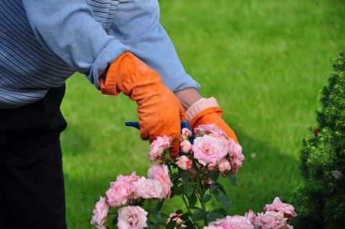 Professional landscapers working in Abbey Wood