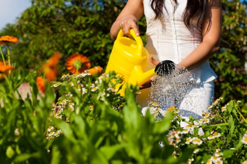 Beautiful and sustainable garden maintained by Garden Maintenance Abbey Wood