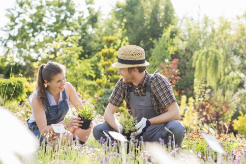 Sustainable landscaping practices in Abbey Wood