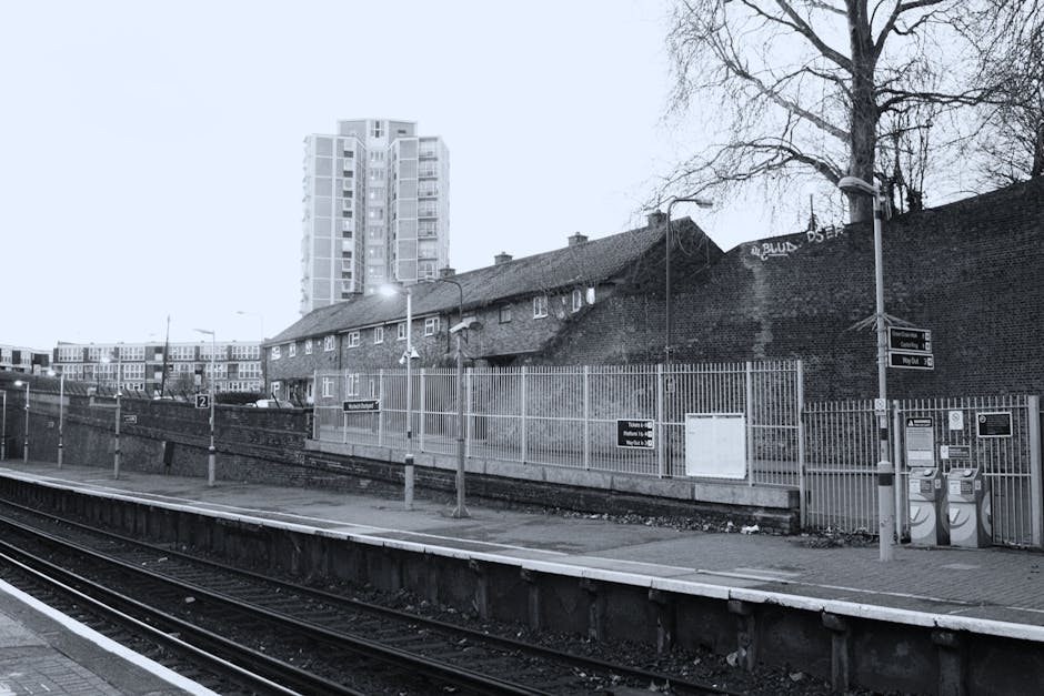 A view of the Abbey Wood station communal garden area adjacent to railway tracks, featuring planted shrubbery and small trees with fresh green leaves, situated along a blue metal railing. The garden b