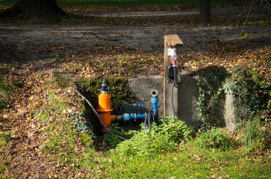 A garden area featuring a small, partially excavated section with exposed soil and garden beds surrounded by lush green plants and ground cover. The scene includes a blue irrigation pipe and an orange